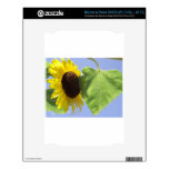 Outdoor Friends NOOK Skins
