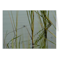 Outdoors Is Company Enough For Me cards by LadyDenise Outdoors Is Company Enough For Me cards