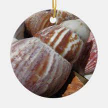 Outer Banks Seashells, North Carolina Ornament