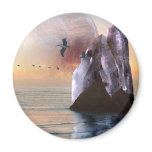 Outer Limits magnets