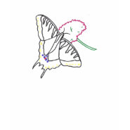 outline art - butterfly and flower in color shirt shirt