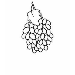 Outline art - grapes color in tshirt shirt