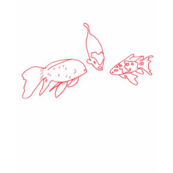 Outline art - koi fish, color in shirt shirt