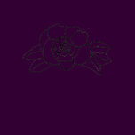 outline art - rose color in shirt