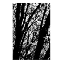 Outline Tree posters by Kuroda724 Outline Tree posters