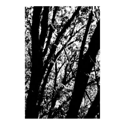Outline Tree Poster by Kuroda724