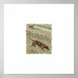 OutofAfrica4 Print