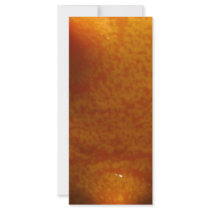 outside of star fruit rack cards