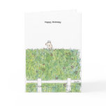 OUTSTANDING IN THE FIELD Boynton Cards
