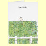 OUTSTANDING IN THE FIELD Boynton cards