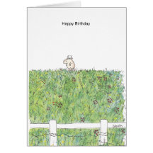 OUTSTANDING IN THE FIELD Boynton Cards