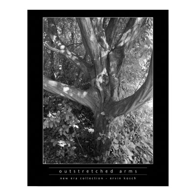 Outstretched Arm Print by ervkosch