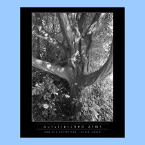 Outstretched Arm posters