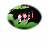 OVAL BLEEDING HEART t-shirts