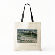 Oval piazza, ancient Decapolis city Jarash, Jordan Tote Bags