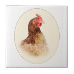 Oval Picture of Little Red Hen Tile Oval Picture of Little Red Hen Tile