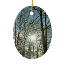 Oval Winter Sun Design Ornament ornaments