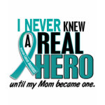 Ovarian Cancer never knew a hero Mom t-shirt