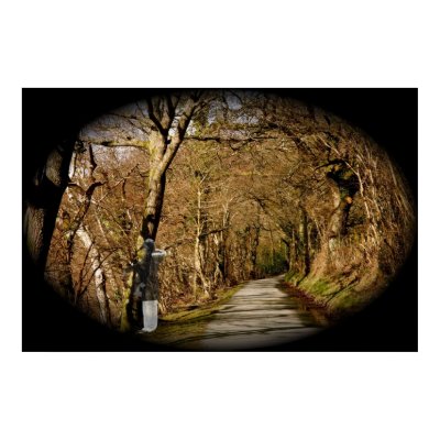 OVER HERE Poster from Zazzle.com : spirits eerie country lane posters bargains unusual strange ccrcats christopher colin rowlands stylish specters