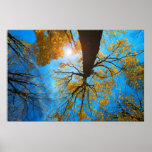 Over my head print