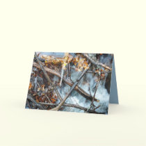 Over the Dam cards by MoiraAshleigh Over the Dam cards