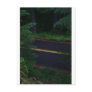 Over the Hill and Through the Woods Postcard