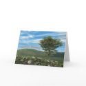 Over The Hill cards by niagaragirl Over The Hill cards
