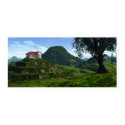 Over the Hills and Pharaoh Way posters