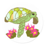 over, pink, anemone, sea, turtle, stickers,