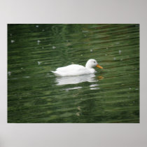 Over The Pond Duck Print