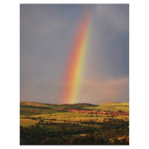 Over The Rainbow Flyer Design