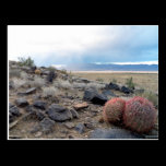 Over yonder...the storm brews postcards
