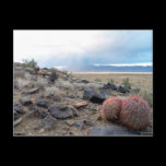 Over yonder...the storm brews postcards