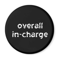 Overall In-Charge magnets