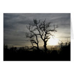 Overcast Afternoon Greeting Cards