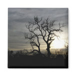 Overcast Afternoon Refrigerator Magnet
