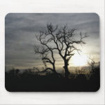 Overcast Afternoon mousepads