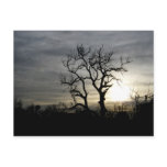 Overcast Afternoon Postcards