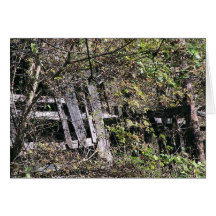 Overgrown Barn Near The Clinch River At Fort Black Greeting Cards