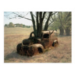 Overgrown Postcards