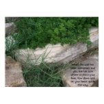 Overgrown Trail Poster