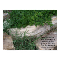 Overgrown Trail Poster posters