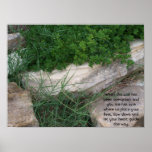 Overgrown Trail Poster