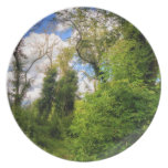 Overgrown Woodland Path Dinner Plates
