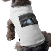 Overholser Dam Pet Clothing
