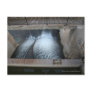 Overholser Dam Post Cards