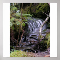 Overland Track Poster