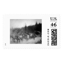 Overland Trail Horses Alaska 1908 Postage Stamps
