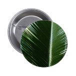 Overlapping Palm Fronds Button