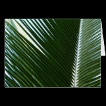 Overlapping Palm Fronds Card